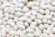 Реалізуємо високоякісну сортову квасолю гуртом.  Продукція ретельно о