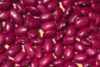 Реалізуємо високоякісну сортову квасолю гуртом,по Україні. Продукція 